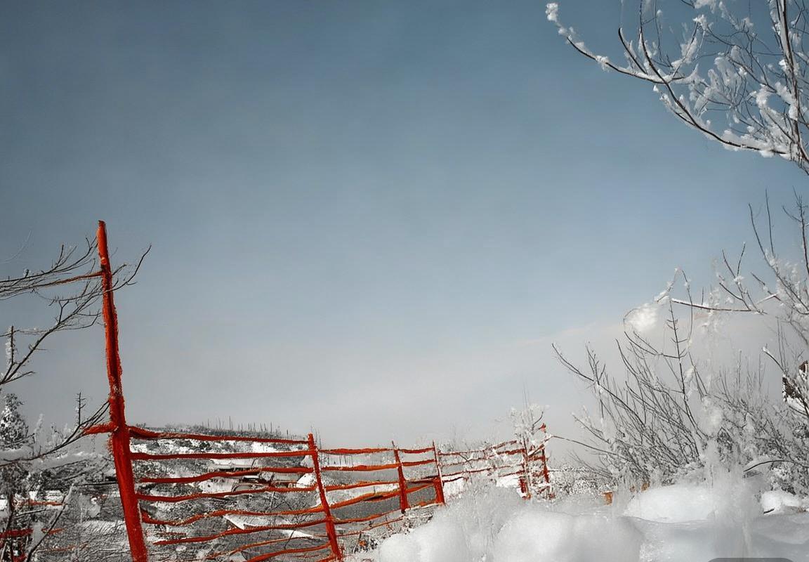 格瓦迪奥尔成长之路：天才后卫的国际舞台崛起(图2)
