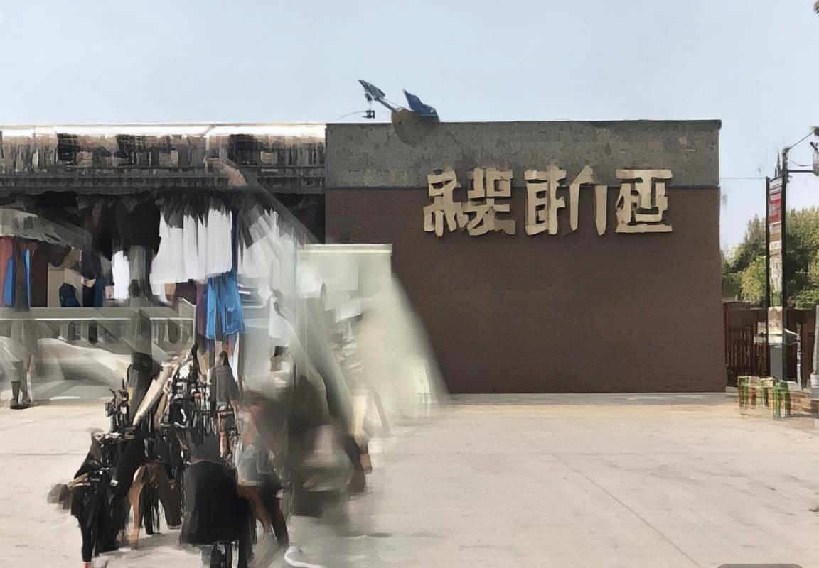 广东女篮VS沈部女篮：精彩对决战术解析与球员点评